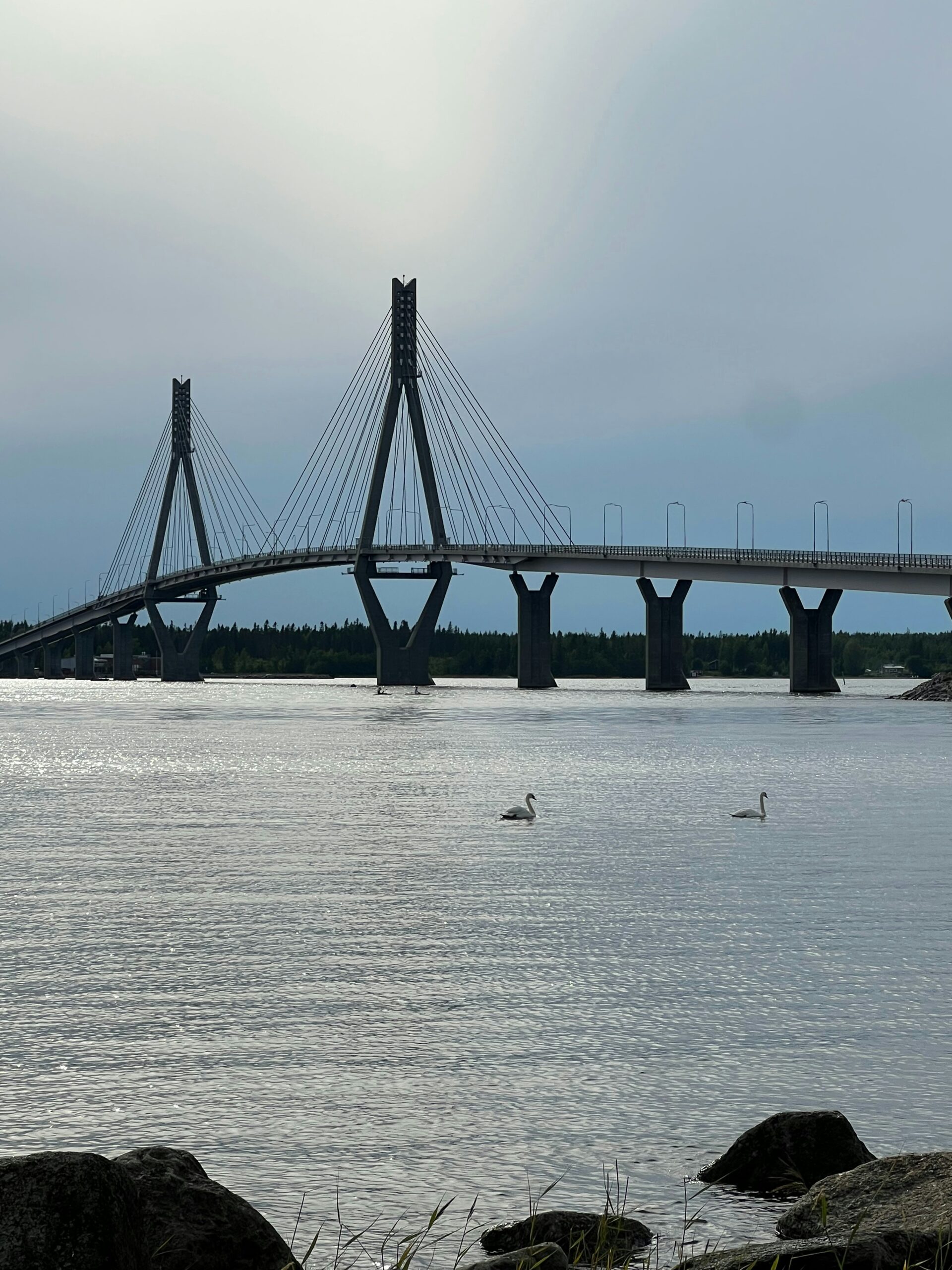 Harbour vs Bridge Views – Which One’s Right for You?